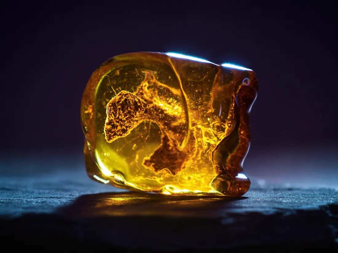 Macro photograph of a glossy amber cannabis concentrate glowing against a dark violet background