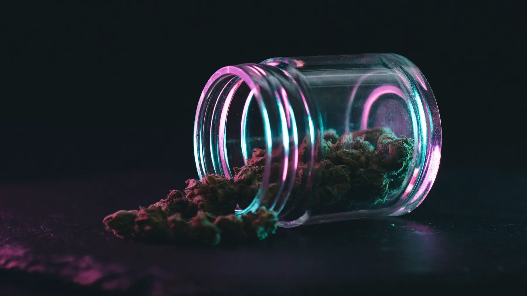 A glass jar tipped on its side on dark slate with cured cannabis flower spilling out, lit in magenta and cyan
